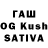 Галлюциногенные грибы Cubensis Nazgul Sisengalieva