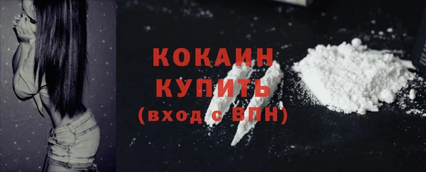 молекула духа Белоозёрский