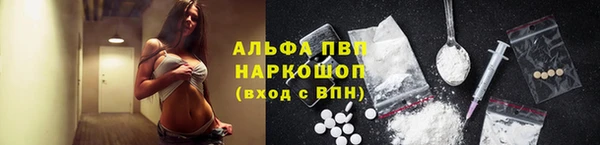 молекула духа Белоозёрский
