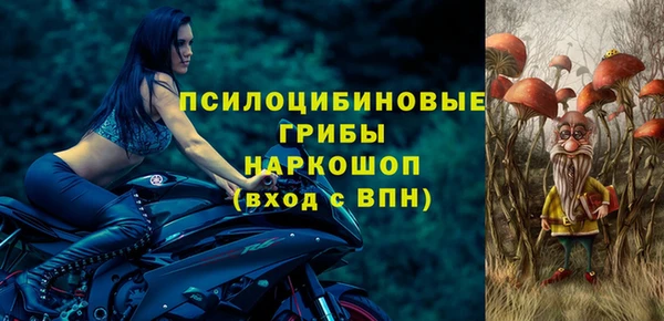 дурь Белокуриха