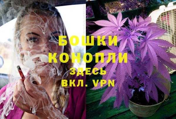 дурь Белокуриха