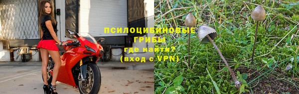 молекула духа Белоозёрский