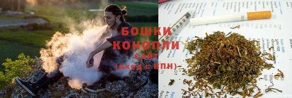 дурь Белокуриха